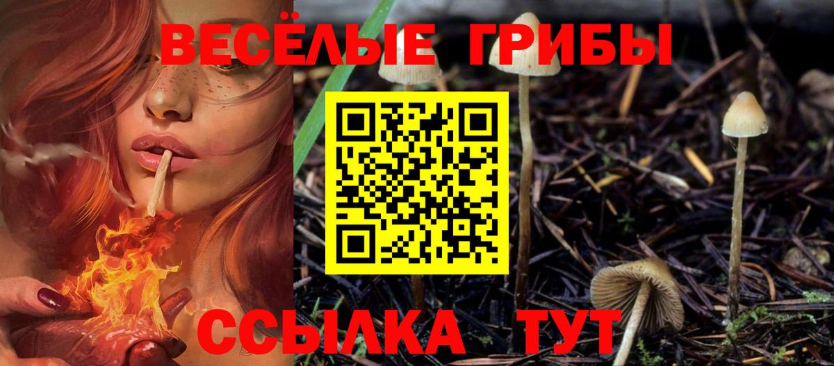 Каспийск  Псилоцибиновые грибы прущие грибы  Вход с VPN 